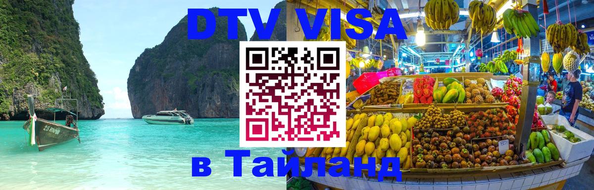Оформление DTV визы под ключ: стоимость и тарифы, только загранпаспорт - 